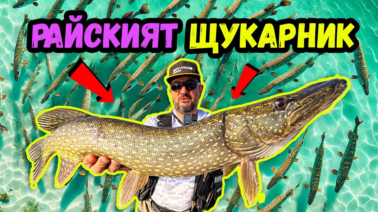 Открихме ЕЗЕРОТО ПЪЛНО С ЩУКИ! ИЗЯДОХМЕ една и дадохме на МЕСТЕН ДЯДО! Catch&Cook на ЩУКА!