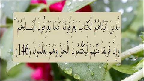 القران الكريم سورة البقرة الاية 146