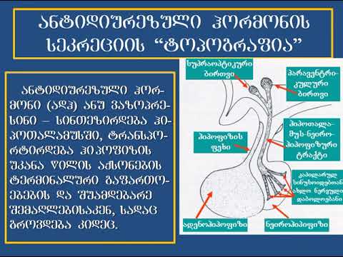 ჰიპოთალამუს ჰიპოფიზის პათოლოგია მაწილი 2