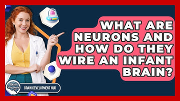 What Are Neurons And How Do They Wire An Infant Brain? - Brain Development Hub