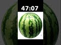 IN 1 HOUR THIS WATERMELON GONNA DANCE!