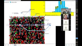 Famous CMPT 394/858: Networks in Agent-Based Modeling, Structure & Behaviour Wealth
