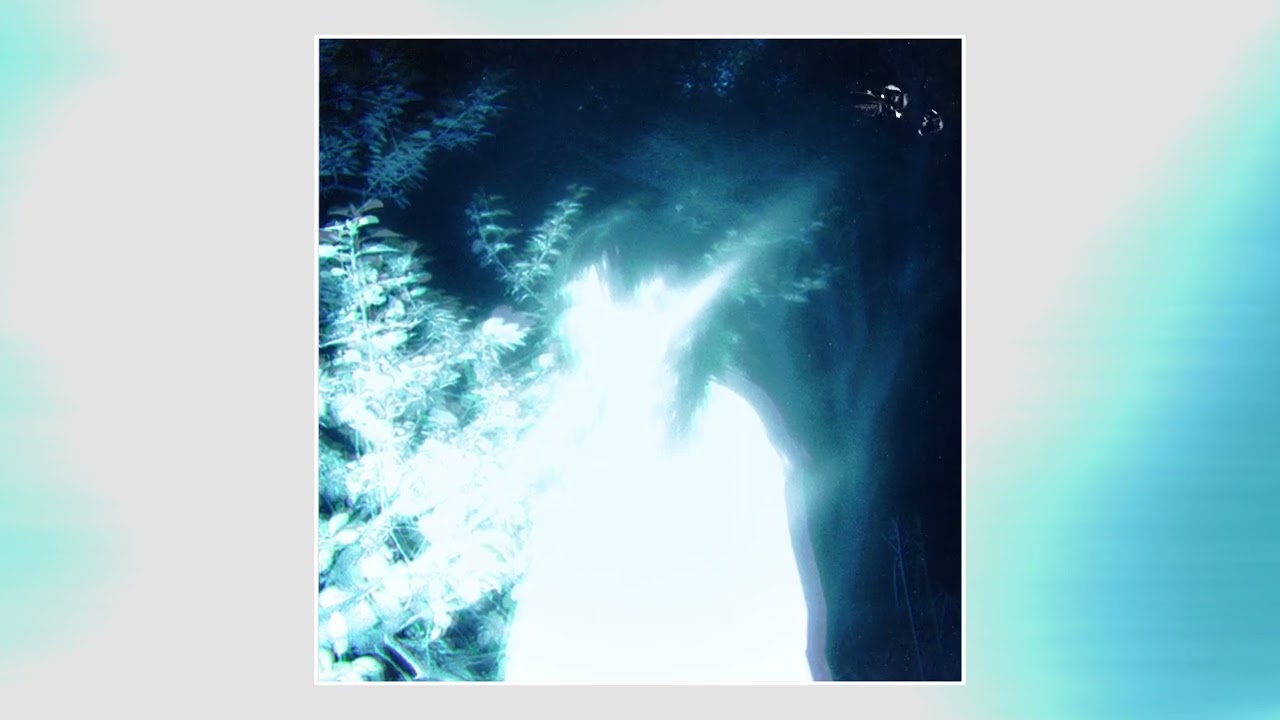 Watch SKELTY, apatheater, enomor - fading echoes on YouTube Watch SKELTY, apatheater, enomor - fading echoes on YouTube