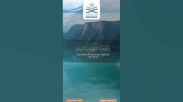 الله نور السموات والأرض مثل نوره كمشكاة - ما تيسر من سورة النور بصوت القارئ معتز الصبيحي