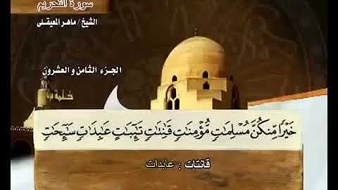 سورة التحريم بصوت ماهر المعيقلي مع معاني الكلمات At Tahrim  360 X 450