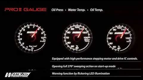 Pro II Gauge Works Engineering 11122014