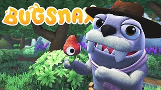 Horrible MONSTERS Eat Cute Food Critters in Bugsnax! screenshot 2