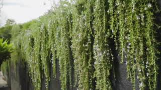 Portsea Project Showcase :: Formed Landscapes