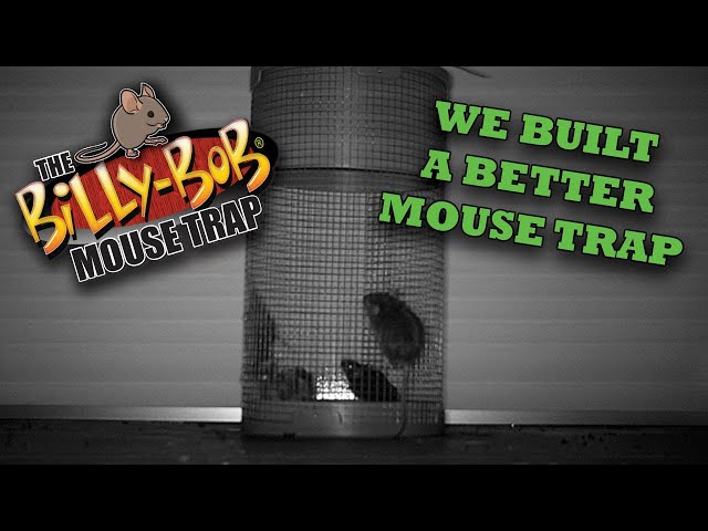 Mouse Trap - Billy Bob