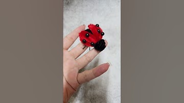 How to make a ladybug 🐞from pipe cleaner