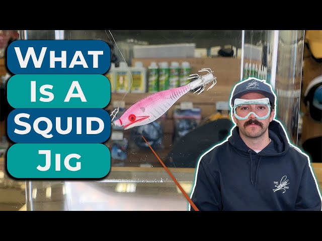 What is a squid jig? Saltwater Edge Fishing Basics Squid Jig Gear