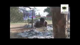 students enjoy in XISS Ranchi Panache 2013
