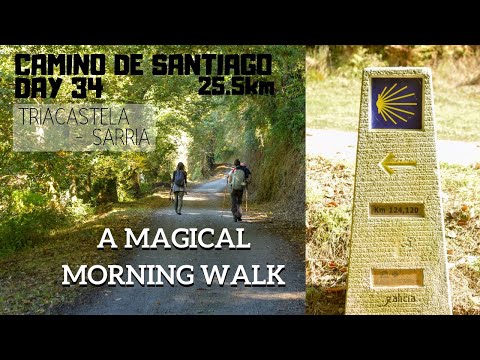 Triacastela - Sarria | Camino de Santiago