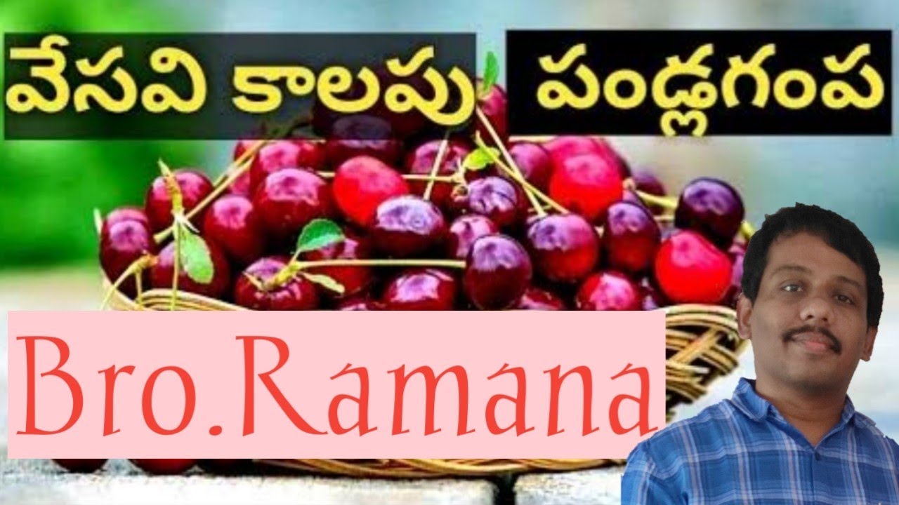 వేసవి కాలపు పండ్లగంప//bro.Ramana - YouTube