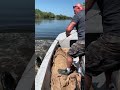 Louisiana Alligator Season Swamp People Bayou Life Realitytvshow Reptile Bayou Fishing Louisiana Alligator Season Swamp People Bayou Life Realitytvshow Reptile Bayou Fishing