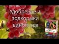 Выступление Д.Чечета - Удобрение и подкормки винограда (для базового уровня)