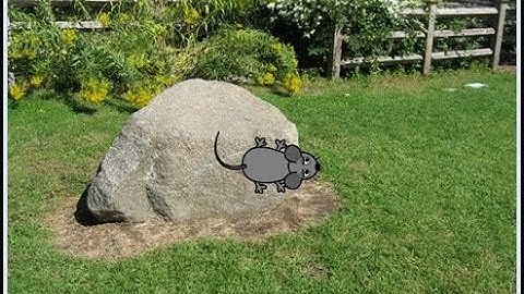 Scratch Tutorial | Catching The Mouse | Easy Beginner