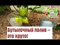 Бутылочный полив - это круто!