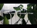 Chlorophyll Printing Tutorial