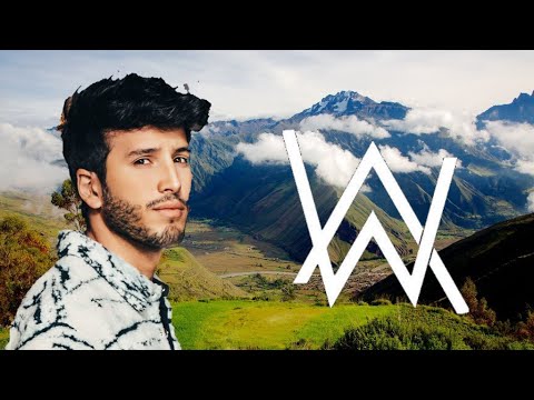 Alan Walker Style
