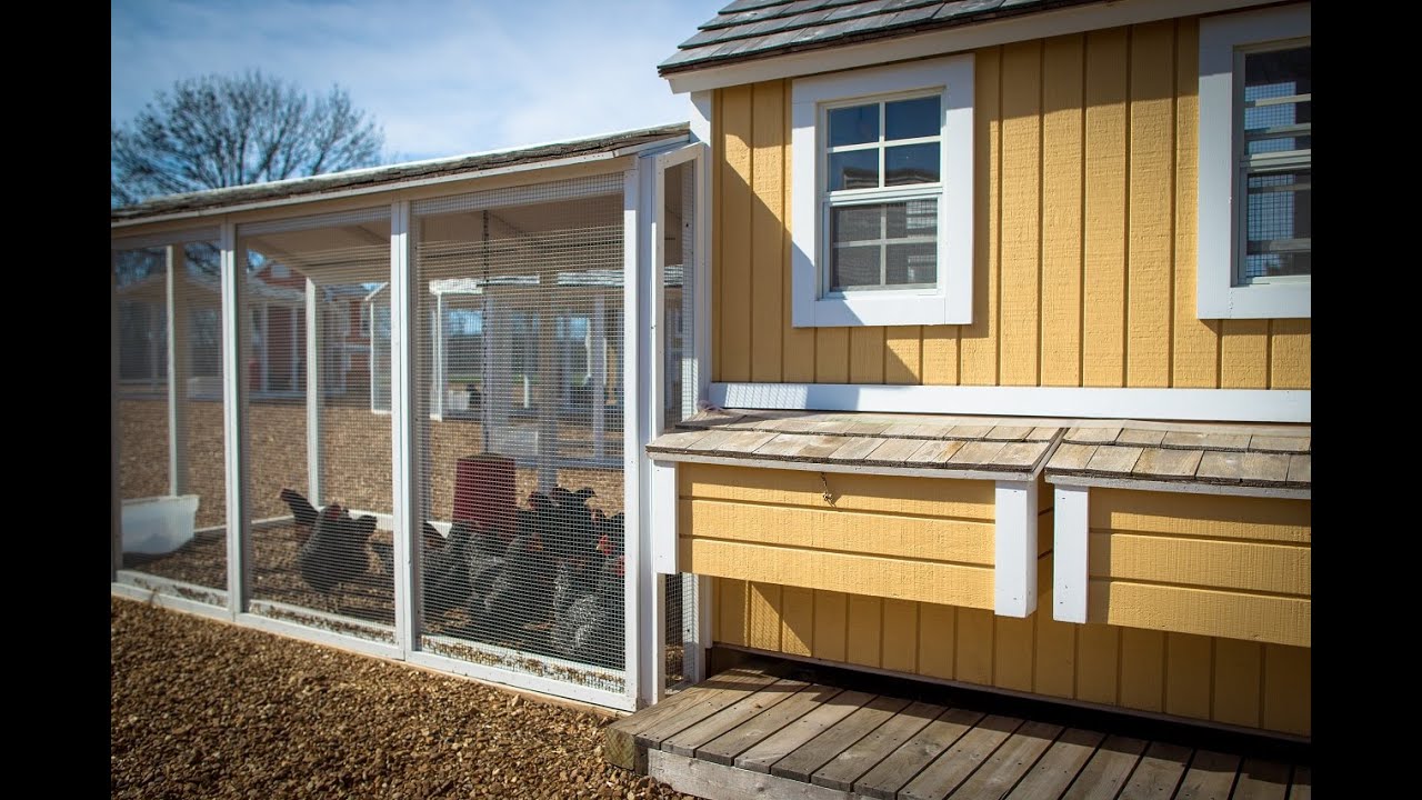 How To Build A Chicken Coop For Laying Hens