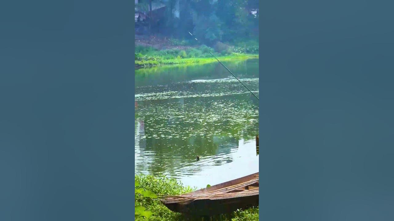 Hunting For Big Fish At Norosunda River With A Fishing Rod fishing hunting-for-big-fish-at-norosunda-river-with-a-fishing-rod-fishing