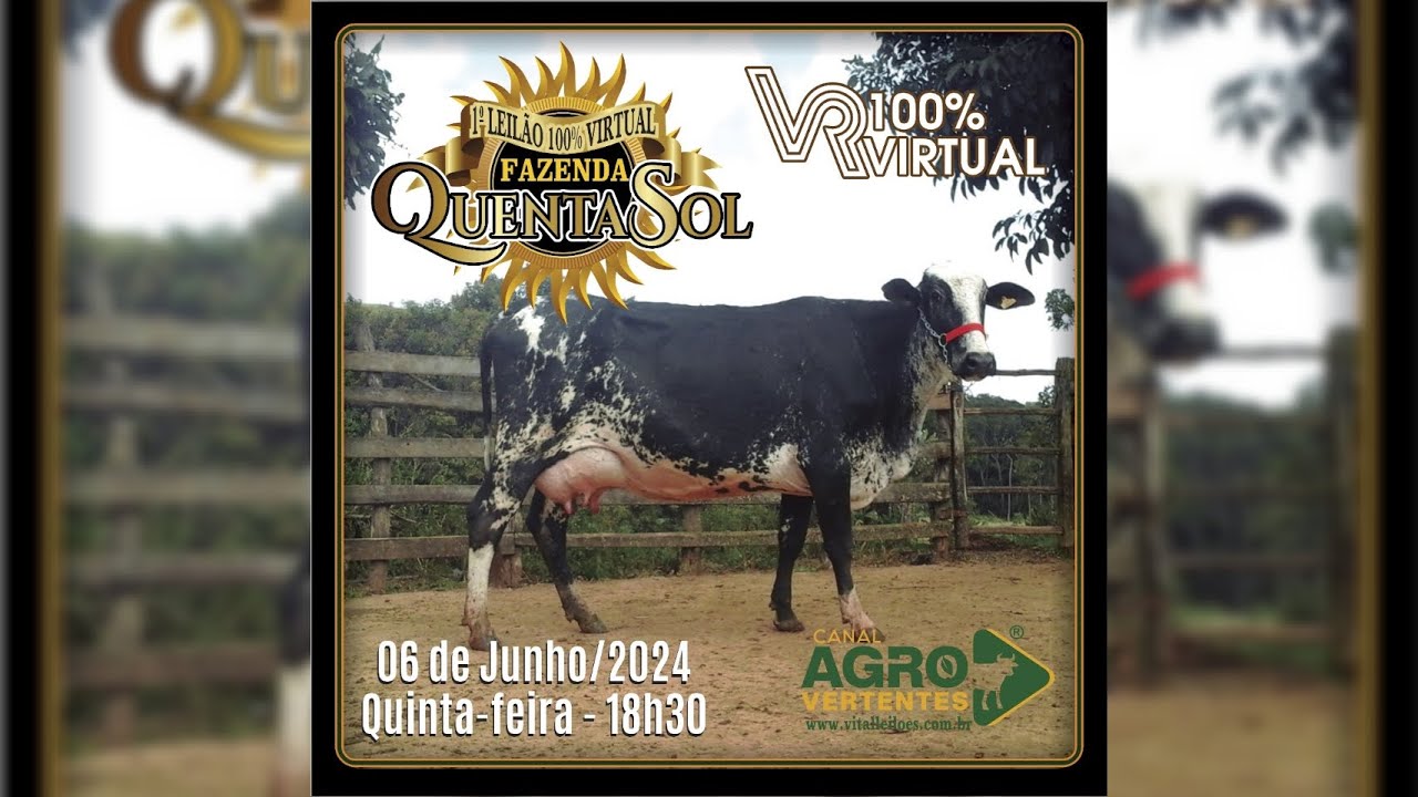 1º LEILÃO VIRTUAL FAZENDA QUENTA SOL - 06/06/2024