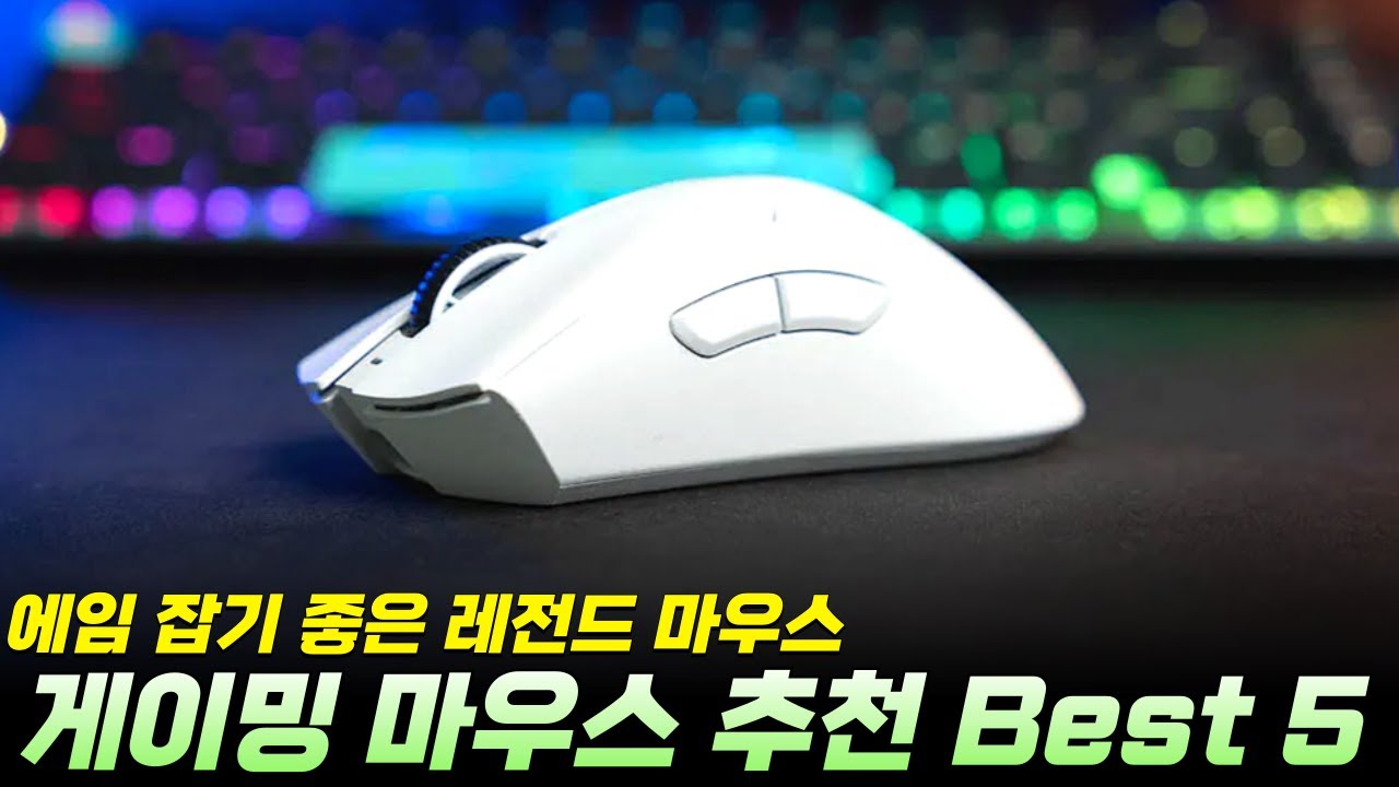 "2025년 게이밍 마우스 어떤 걸 사야 할까?" 게이밍 마우스 추천 Best 5 I 데브삼, 바브삼, 잠자리 마우스