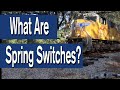 What Are Spring Switches? thumbnail
