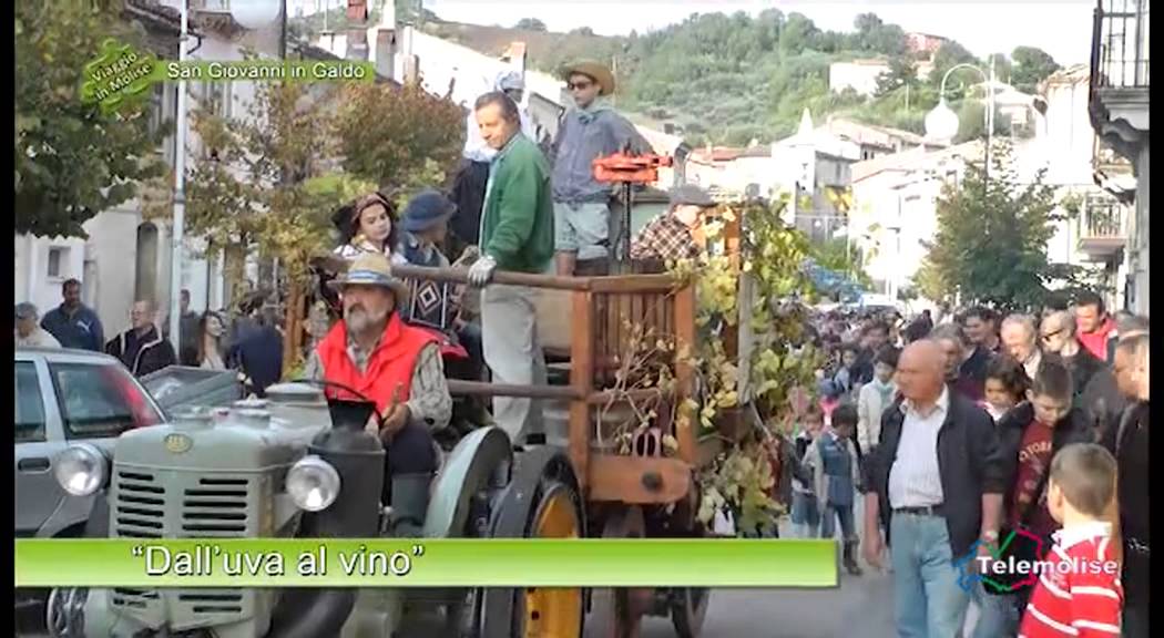 San Giovanni in Galdo - Dall'uva al vino - 01 - 1675 - Telemolise - Viaggio in Molise