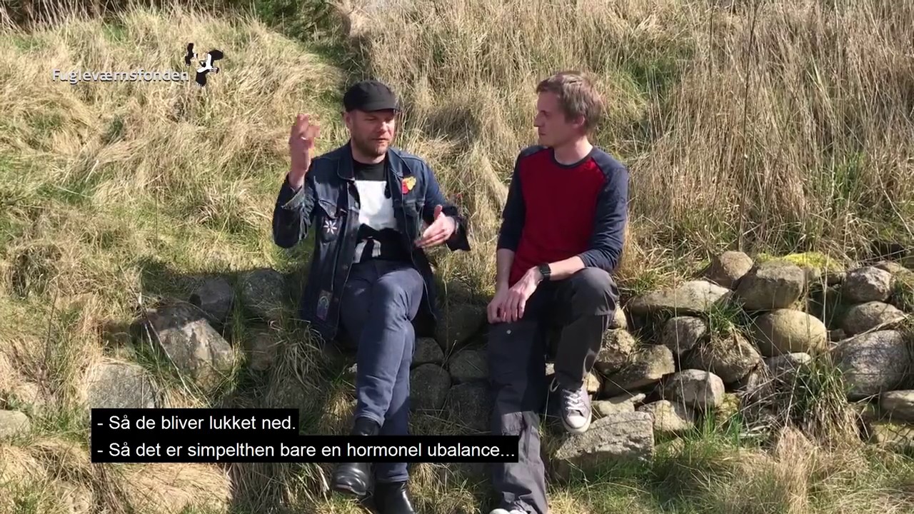 Gransanger, fuglestemmeskole med Johan Olsen og Allan Gudio