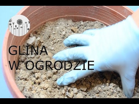Wideo: Jak naprawić glinę jak ziemię?