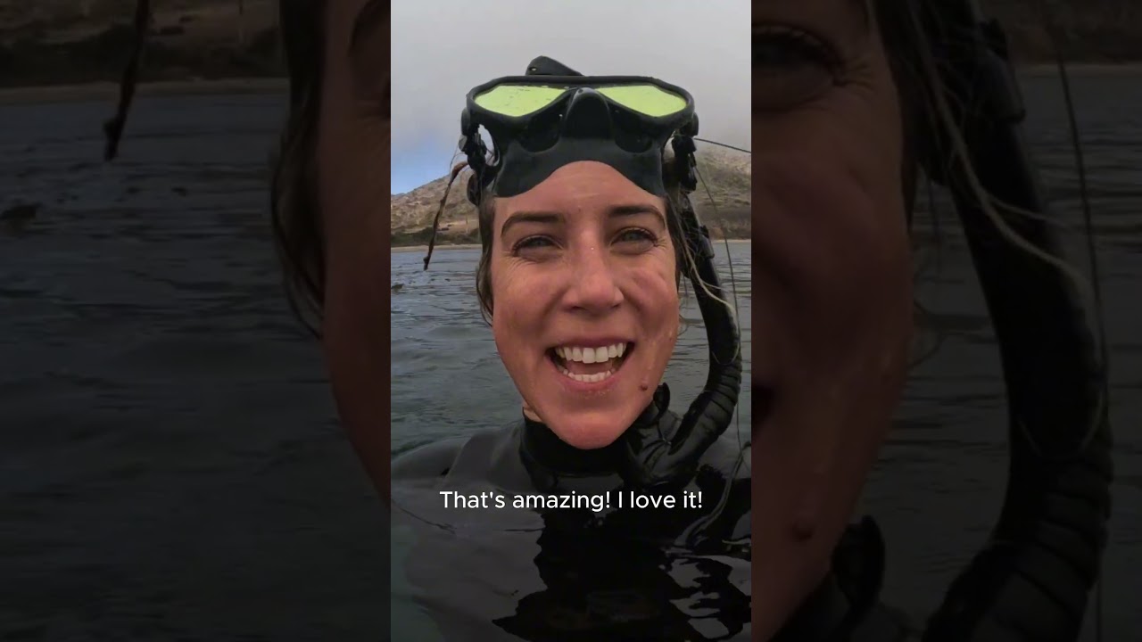 Best of the West: Uni Diving in Southern California