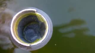DIY pond surface skimmer