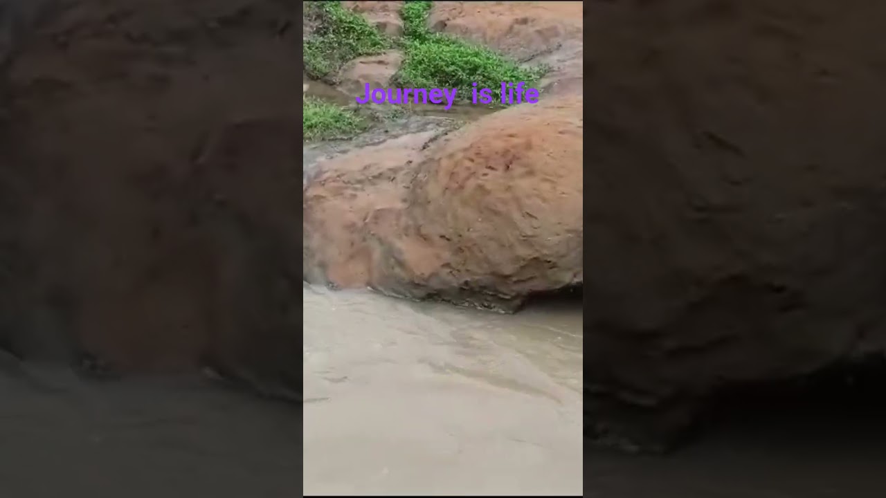  - HeartVod