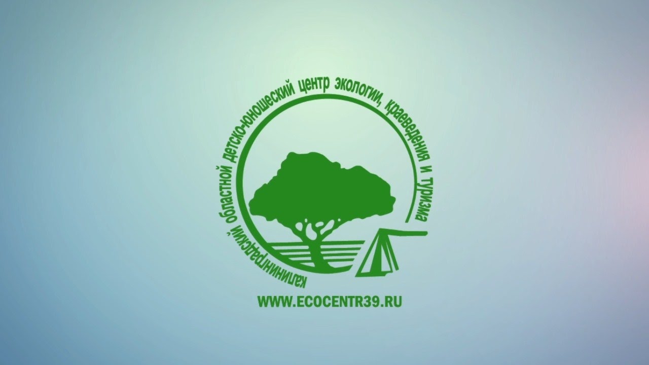 Сайт экоцентра калининград