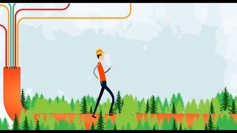 Fiber Characterization Services by AFO