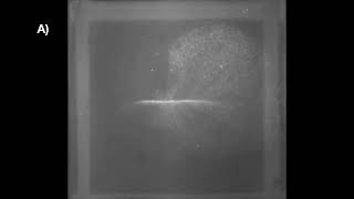 Sill Experiment Series 11