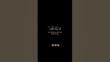 سورة الروم / الشيخ أحمد النفيس / تلاوة خاشعة ومؤثرة راحة نفسية