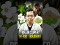 All About Brahmi | Brain Super Herb | Dt.Bhawesh | #diettubeindia #dietitian #ayurveda #shorts