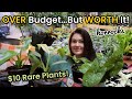 10 rare plants over budgetbut worth it plant shopping  plant haul horrocks nursery