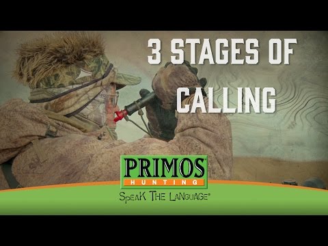 randy-anderson's-3-stages-of-calling-in-coyotes