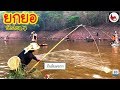 ยกยอ อ่างน้ำส้อ ►Fishing lifestyle Ep.270