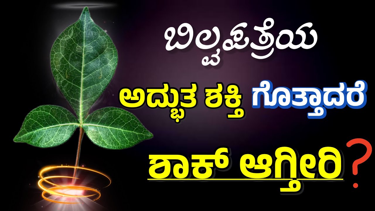 ಅದ್ಭುತ ಶಕ್ತಿಗಾಗಿ ಬಿಲ್ವಪತ್ರೆಯನ್ನು ಈ ರೀತಿ ಬಳಸಿ | Bilva Patre Or Bilva Leaves Benefits @SRTVKANNADA