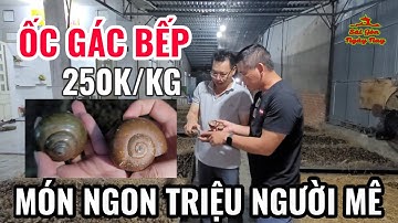 ỐC GÁC BẾP TÌNH QUÊ MÓN ĂN NGON TRIỆU NGƯỜI MÊ PHÁT THÈM