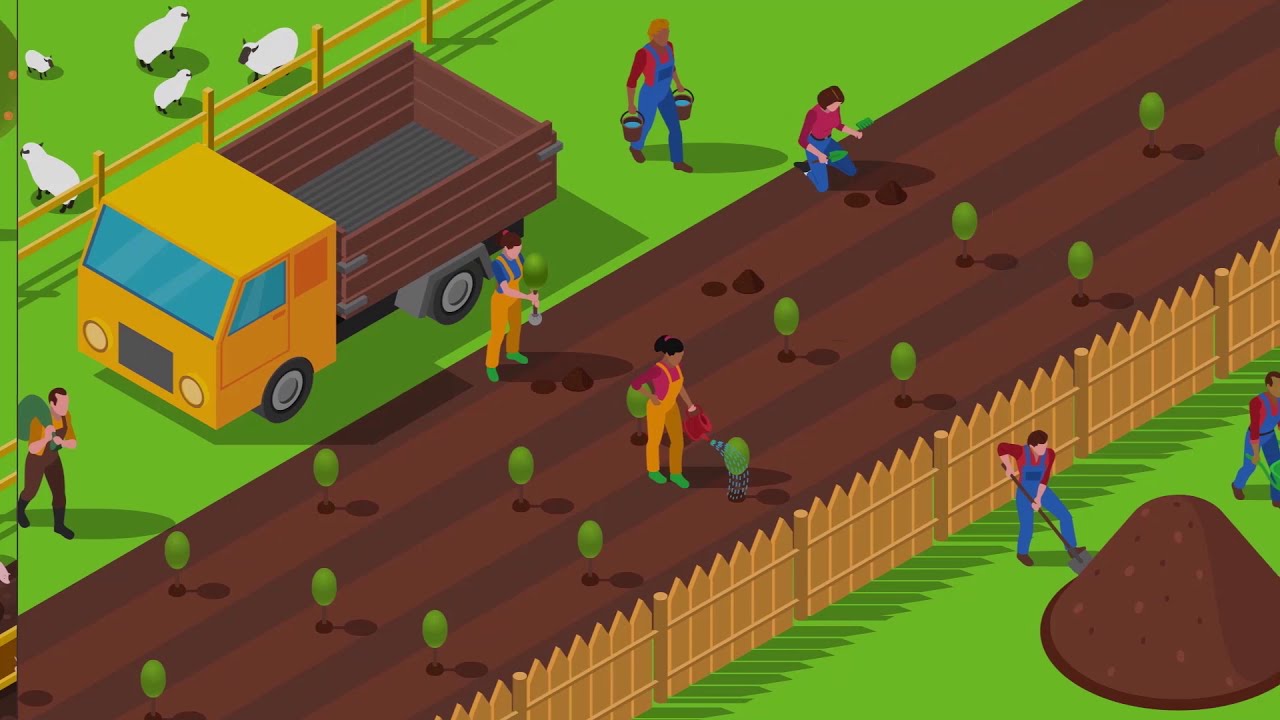 Una vuelta por el territorio: Importancia del ordenamiento territorial