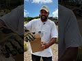 Mystery Unboxing ЁЯМ ЁЯУжGolden Opportunity ЁЯСА тШАя П Cactuslover Cactus Unboxing Fyp Mystery Unboxing ЁЯМ ЁЯУжGolden Opportunity ЁЯСА тШАя П Cactuslover Cactus Unboxing Fyp