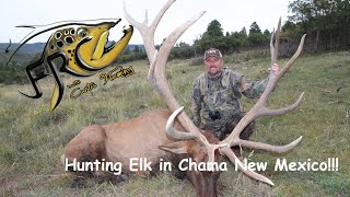 Hunting Elk in Chama New Mexico!!