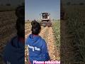 प्याज खोदने की जरूरत नहीं | 😱 देसी मशीन मिनटों में निकाल रही पूरी फसल|| #shorts #onions #deshijugad