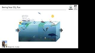 Monitoring ocean acidification in Alaskas marine ecosystem